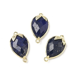 Ляпис-Лазурь Подвески-коннекторы из натурального лазурита с огранкой в виде капли, латунные клубничные звенья, золотые, 20x11.5x5 мм, отверстие : 1.2 мм