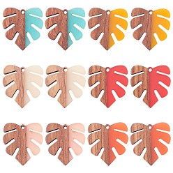 Mixed Color SUNNYCLUE Resin & Wood Pendants, Tropical Leaf Charms, Monstera Leaf Pendant, Mixed Color, 30x28x3.5mm, Hole: 2mm, 6 colors, 2pcs/color, 12pcs/box