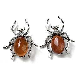 Red Agate Dual-use Items Alloy Spider Brooch, with Natural Red Agate, Antique Silver, 42x38x12~13mm, Hole: 4.5x4mm