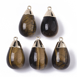 Tiger Eye Top Golden Plated Natural Tiger Eye Pendants, with Iron Loop, Teardrop, 28~29.5x16mm, Hole: 1.6mm