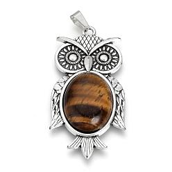 Tiger Eye Natural Tiger Eye Big Pendants, with Alloy Findings, Owl, Antique Silver, 56x27.5x7.5mm, Hole: 3.5x7.5mm