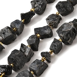 Larvikite Необработанные грубые натуральные бусины из ларвикита, самородки, с бисером, 14~28x15~25x10~27 мм, отверстие : 1.2~1.4 мм, около 9~10 шт / нитка, 7.76''~8.07'' (19.7~20.5 см)