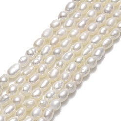 Lin Brins de perles de culture d'eau douce naturelles, riz, linge, 3~4.5x2.8~3.2mm, Trou: 0.5mm, Environ 103 pcs/chapelet, 14.57'' (37 cm)