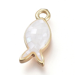 Белый Натуральные раковины, с латунной фурнитурой , рыба, золотые, белые, 12x5x2.8 мм, отверстие : 1.2 мм