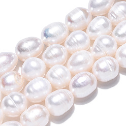 Seashell Color Natural Cultured Freshwater Pearl Beads Strands, Baroque Keshi Pearl Rice Beads, Seashell Color, 7.5~16x9~9.5mm, Hole: 0.7~0.8mm, about 15~16pcs/strand, 7.09 inch(18cm)