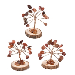 Carnelian Natural Carnelian Chips Tree of Life Decorations, with Wooden Base & Copper Wire, Feng Shui Energy Stone Gift for Home Desktop Decoration, 31~32x29~33x33~50mm