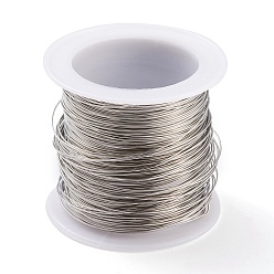 Stainless Steel Color 316 Surgical Stainless Steel Wire, for Jewelry Making, Stainless Steel Color, 24 Gauge, 0.5mm, about 75.45 Feet(23m)/roll