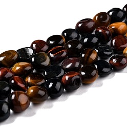 Tiger Eye Natural Tiger Eye Beads Strands, Nuggets, Tumbled Stone, 8~11x7.5~9x4.5~7mm, Hole: 0.8mm, about 42pcs/strand, 15.94''(40.5cm)