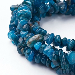 Apatite Natural Apatite Beads Strands, Chip, 4~13x3~12x1~6mm, Hole: 1mm, about 33 inch~34.2 inch(84~87cm)