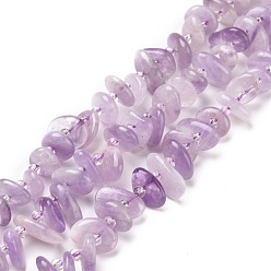 Amethyst Natural Amethyst Beads Strands, Chip, 5~18x3~9x2~5mm, Hole: 1mm, about 67~69pcs/strand, 15.55''(39.5~40cm)