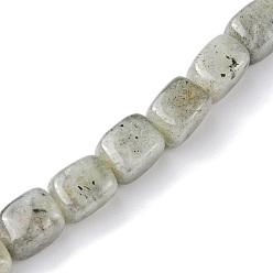 Labradorite Natural Labradorite Beads Strands, Cuboid, 8.5~11x7.5~9x7.5~9mm, Hole: 1.2mm, about 20pcs/strand, 7.72~8.74 inch(19.6~22.2cm)