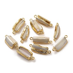 Golden Natural Trochus Shell Pendants, with Brass Findings, Rectangle Charms, Golden, 22~28x6~11x4.5~8mm, Hole: 1.8mm