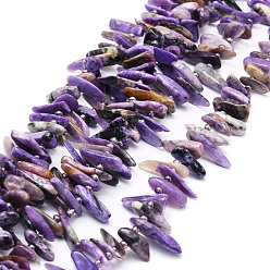 Charoite Natural Charoite Beads Strands, Nuggets, 9.5~30x4.5~7.5x1.5~5mm, Hole: 0.8mm, about 80pcs/strand, 15.75 inch(40cm)