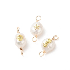 Golden 3Pcs 3 Patterns Grade AA Natural Cultured Freshwater Pearl Connector Charms with Alloy Slices, Two Sides Polished, with Copper Wire Double Loops, Sea Horse & Shell & Starfish Pattern, Golden, 20~21x8~9x6~8mm, Hole: 2.5mm, 1pc/pattern