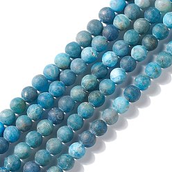 Apatite Natural Apatite Beads Strands, Round, Frosted, 7mm, Hole: 1mm, about 58pcs/strand, 14.96''(38cm)