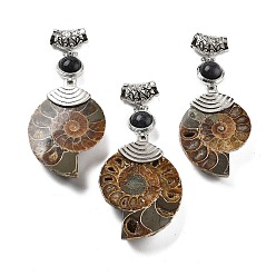 Камень с Пылевым Золотом Синтетический голубой авантюрин окаменелые улитки подвески, со сплавочной фурнитурой, Платиновый металл, 58~78x29~35x8~9 мм, отверстие : 4x6 мм