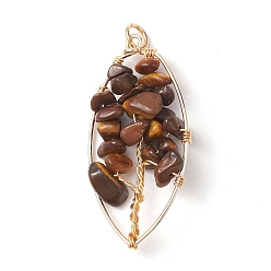 Tiger Eye Natural Tiger Eye Chip Pendants, Golden Plated Brass Leaf Charms, 35~37x17~19x4.5~6.5mm, Hole: 3.3mm