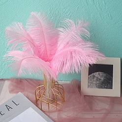 Pink Ostrich Feather Ornament Accessories, for DIY Costume, Hair Accessories, Backdrop Craft, Pink, 200~250mm
