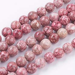 Fossil Coral Natural Fossil Coral Beads Strands, Round, 8~8.5mm, Hole: 1mm, about 46pcs/strand, 14.7 inch(37.5cm)