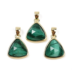 Малахит Природного малахита подвески, с фурнитурой латунной золотого тона, треугольные, граненые, 14x11.5x4.5 мм, отверстие : 2.5x3.5 мм