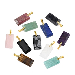 Смешанные камни Подвески из натуральных и синтетических драгоценных камней с огранкой, Прямоугольные подвески с латунными зажимами золотистого цвета, смешанные окрашенные и неокрашенные, 25x13x4 мм, отверстие : 5x4 мм