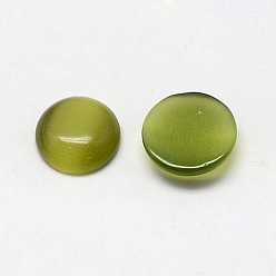 Olive Cat Eye Cabochons, Half Round, Olive, 10x2~3mm