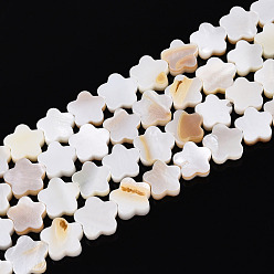 Морская Ракушка Естественных пресноводных оболочки бисер нитей, цветок, цвет морской раковины, 8x8x2.5 мм, отверстие : 0.6 мм, около 46~48 шт / нитка, 14.96 дюйм (38 см)