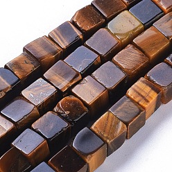 Tiger Eye Natural Tiger Eye Beads Strands, Cube, 5.5~6.5x5.5~6.5x5.5~6.5mm, Hole: 0.8mm, about 62pcs/strand, 15.63 inch(39.7cm)