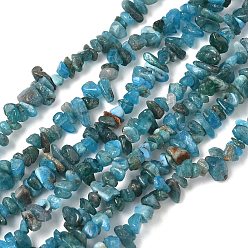 Апатит Природного апатита нитей бисера, чип, 1.5~4.5x3~13x2.5~8 мм, отверстие : 0.6 мм, 31.50'' (80 см)