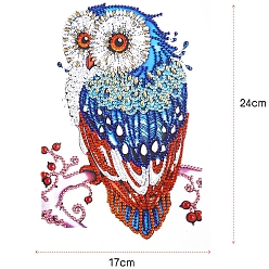 Colorful DIY Owl Diamond Painting Sticker Kits, including Self Adhesive Sticker, Resin Rhinestones, Diamond Sticky Pen, Tray Plate and Glue Clay, Colorful, Owl: 240x170mm