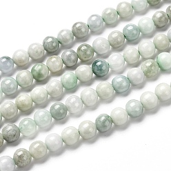 Jadeite Natural Jadeite Beads Strands, Round, Grade A, 6mm, Hole: 0.8mm, about 67pcs/strand, 15.47 inch(39.3cm)