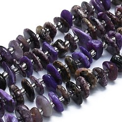 Charoite Natural Charoite Beads Strands, Chips, 8~12x7~10x2~3mm, Hole: 1mm, about 85pcs/strand, 15.55''(39.5cm)