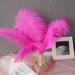 Fuchsia Ostrich Feather Ornament Accessories, for DIY Costume, Hair Accessories, Backdrop Craft, Fuchsia, 200~250mm