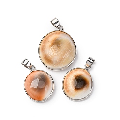 Платина Подвески из латуни из натуральных ракушек, овальные амулеты, стойки покрытие, платина, 23~28x16~23x7~11 мм, отверстие : 4x6 мм