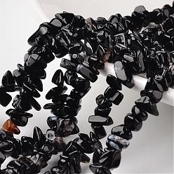 Black Agate Nuggets Natural Black Agate Beads Strands, 4~6x8~12x2~4mm, Hole: 1mm, about 34.6 inch