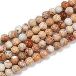 Цвет Древесины Нити бусин из окрашенного натурального регалита/императорской яшмы/морского осадка яшмы, круглые, деревесиные, 4 мм, отверстие : 1.2 мм, около 45 шт / нитка, 7.68'' (19.5 см)