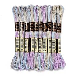 Lilac 10 Skeins 6-Ply Polyester Embroidery Floss, Cross Stitch Threads, Segment Dyed, Lilac, 0.5mm, about 8.75 Yards(8m)/skein
