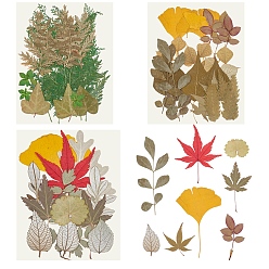 Dried Flower 3 сумки 3 стили набор материалов из зеленых листьев, Диетические аксессуары, 1 сумка / стиль