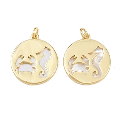 Sea Horse Природные подвески оболочки, латунные полые плоские круглые подвески с соединительными кольцами, реальный 18 k позолоченный, без свинца и без кадмия, долговечный, стойки покрытие, цвет морской раковины, морской конек, 23x20.5x2 мм, отверстие : 3.4 мм