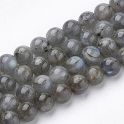 Labradorite Natural Labradorite Beads Strands, Round, 8x7.5mm, Hole: 1mm, about 46~49pcs/strand, 15.5 inch