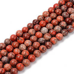 Coral Natural American Turquoise Beads Strands, Dyed & Heated, Round, Coral, 6mm, Hole: 1mm, about 59~60pcs/strand, 15-1/8 inch(38.5cm)