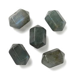 Лабрадорита Бусины-пули из натурального лабрадорита с двумя заостренными концами и гранеными кусочками, 16~17x10~11x9~9.5 мм, отверстие : 1~1.5 мм