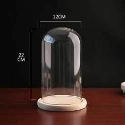 Прозрачный Стеклянный купол, декоративная витрина, колокол баночка террариум с деревянной основой, прозрачные, 120x220 мм