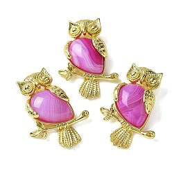 Полосатый Агат Подвески из натурального орхидейного полосатого агата (окрашенного и нагретого), латунные совьи амулеты, золотые, стойки покрытие, без кадмия и без свинца, 36.5x26.5x7.5 мм, отверстие : 6.5x4.5 мм