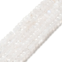 Rainbow Moonstone Natural Rainbow Moonstone Beads Strands, Faceted, Rondelle, 4x2mm, Hole: 0.7mm, about 152pcs/strand, 15.35''(39cm)