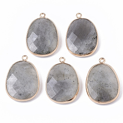 Labradorite Natural Labradorite Pendants, with Golden Plated Edge Brass Findings, Nickel Free, Faceted, Oval, 25~26x17~18x5mm, Hole: 1.4mm