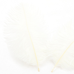 Белый Аксессуары для украшений из страусиных перьев, для костюма своими руками, аксессуары для волос, фоновое ремесло, белые, 150~200 мм