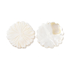 Seashell Color Natural Freshwater Shell Pendants, Flower Charm, Seashell Color, 37.5x38x4mm, Hole: 1.5mm