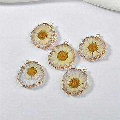 Golden Transparent Resin Pendants, Flat Round Charms with Inner Flower, Golden, 32mm