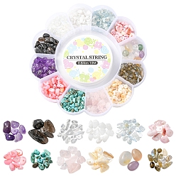 Mixed Stone DIY Gemstone Bracelet Making Kit, Including Natural & Synthetic Mixed Gemstone Chips & Shell Beads, Elastic Thread, Beads: 10g/style, 12 style, 120g/box